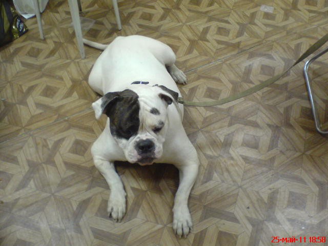 DSC00448.JPG