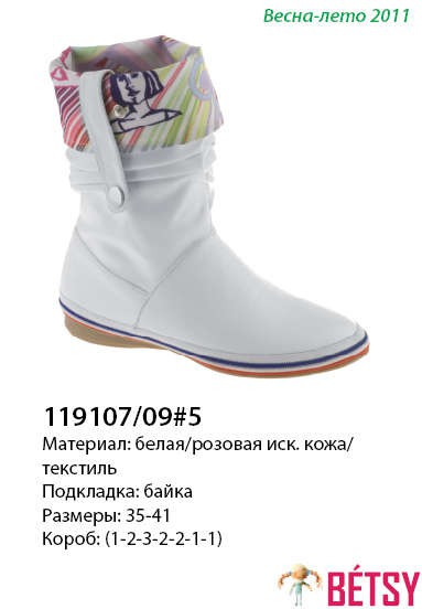 119107-09-5.