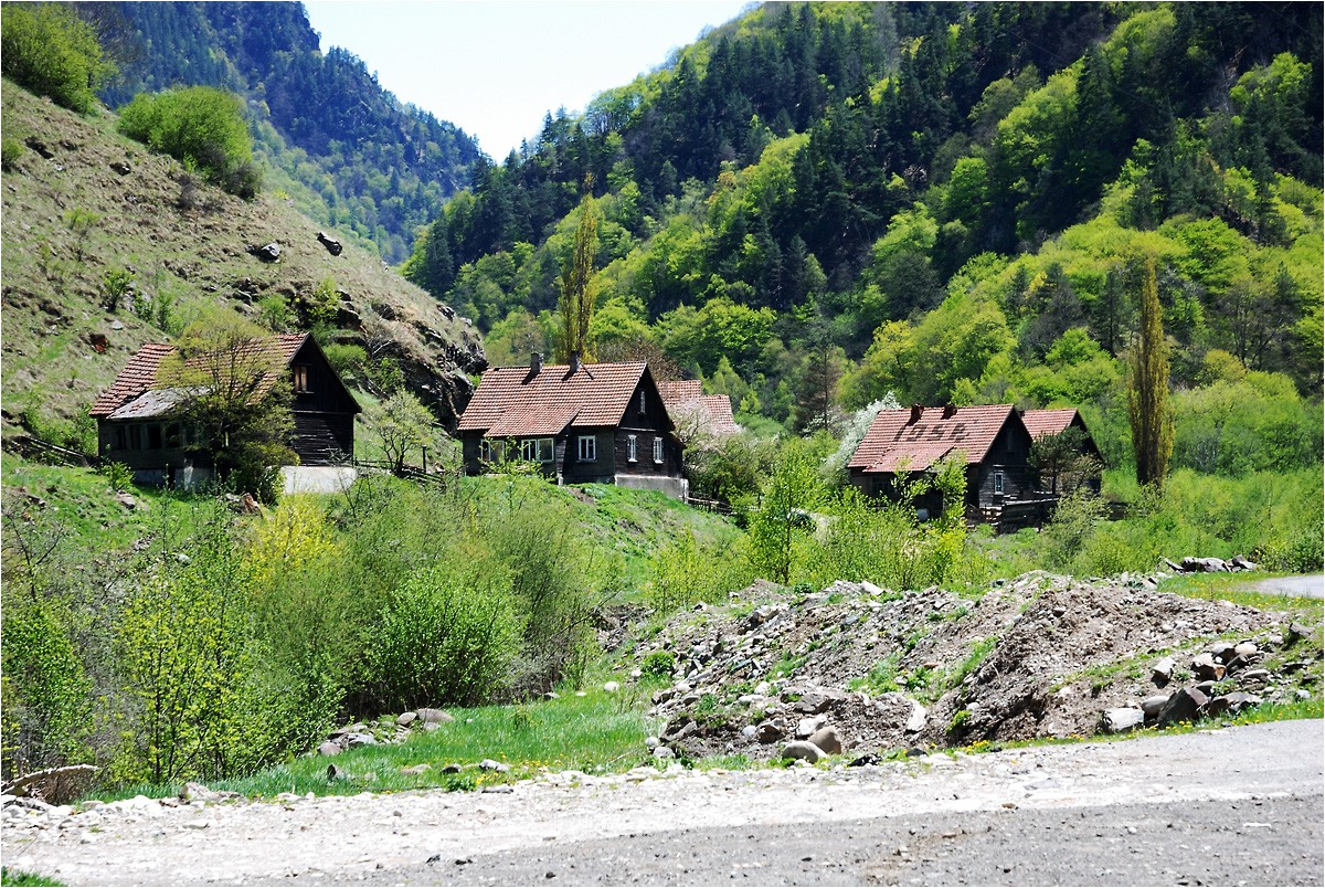 DSC_7720.jpg