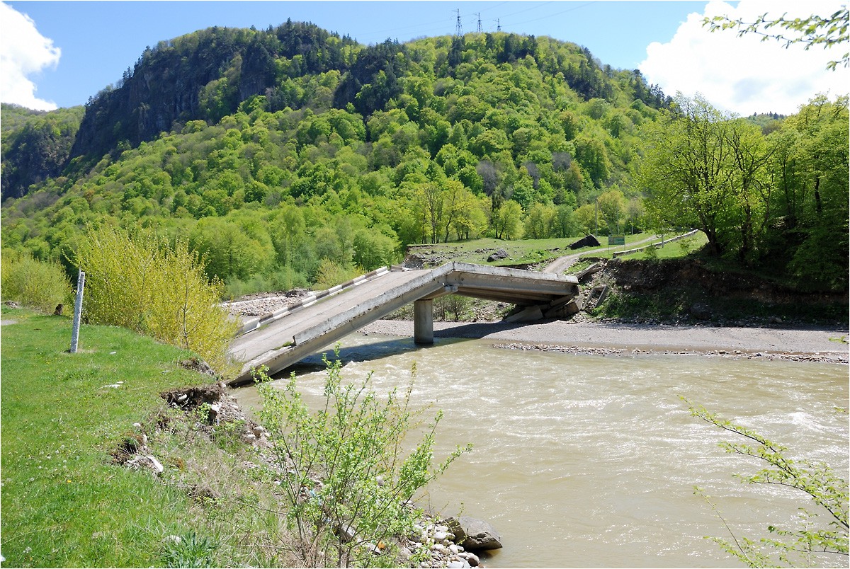 DSC_7724.jpg