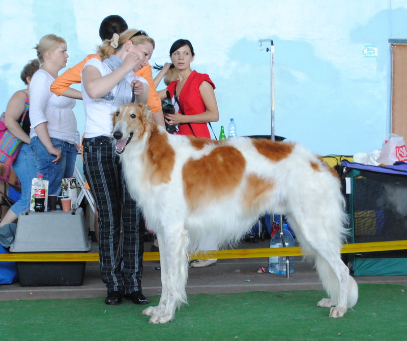 DSC_4201.JPG
