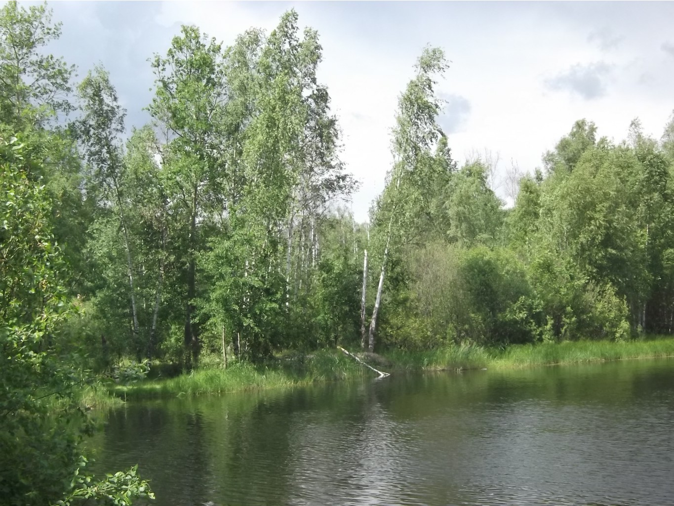 DSCF1373.JPG