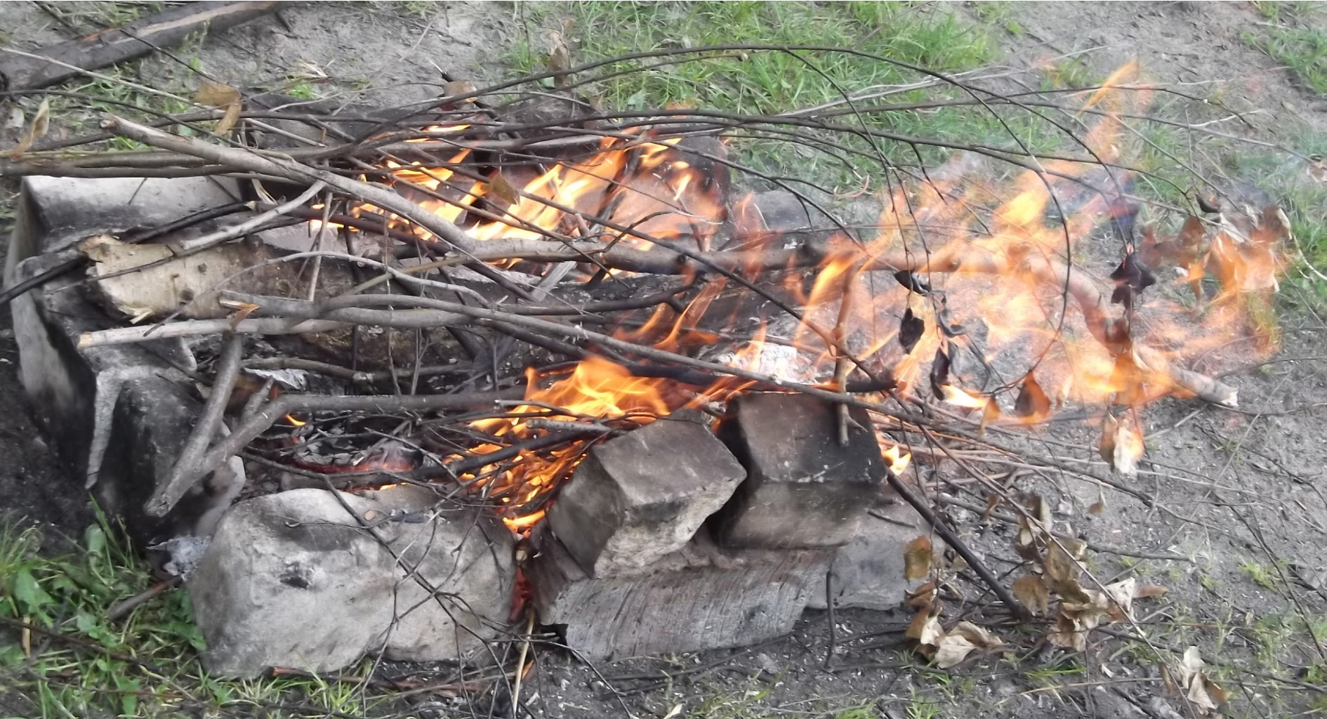 DSCF1393.JPG