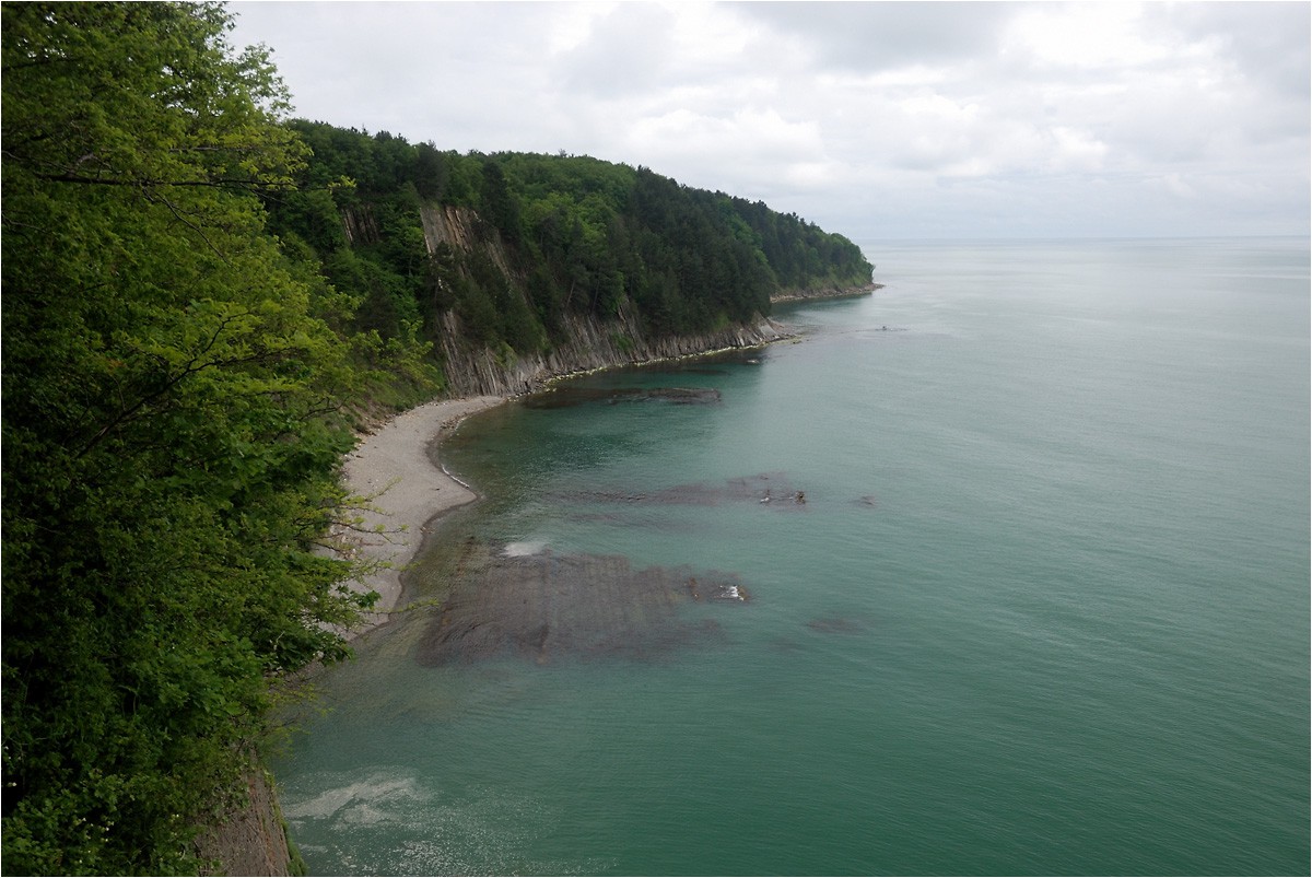 DSC_8120.jpg