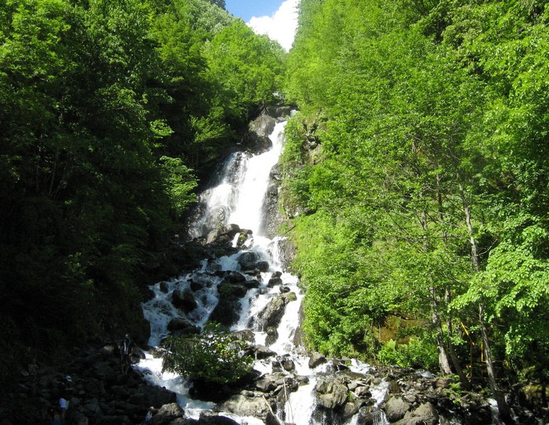 IMG_1633.JPG