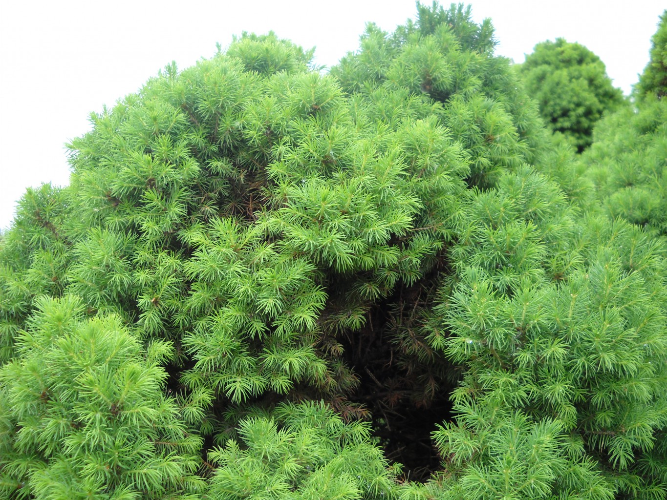 DSCN0099.JPG