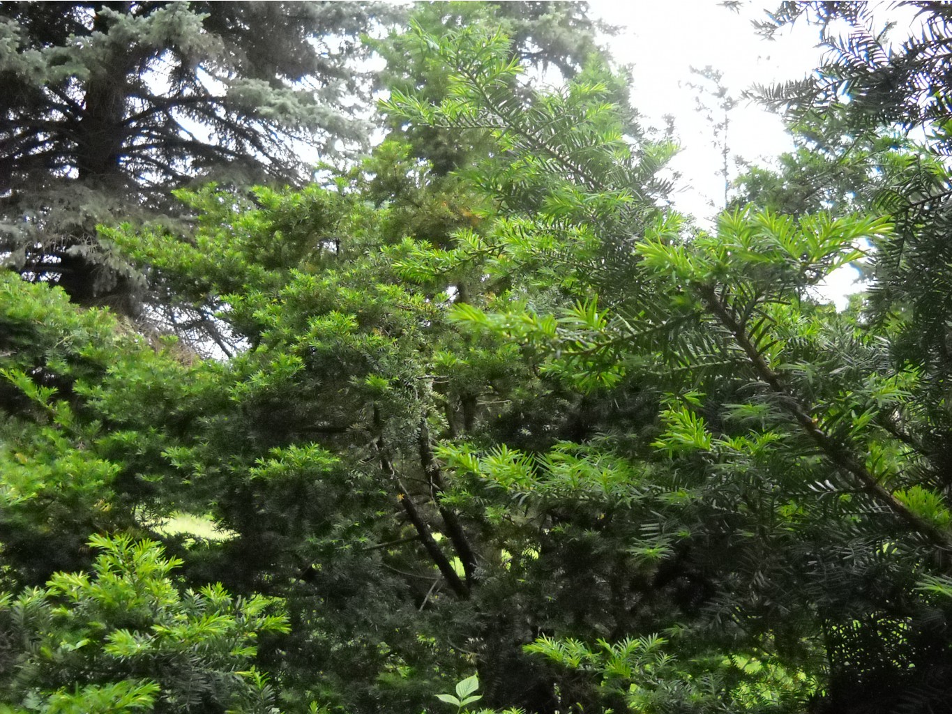 DSCN0110.JPG