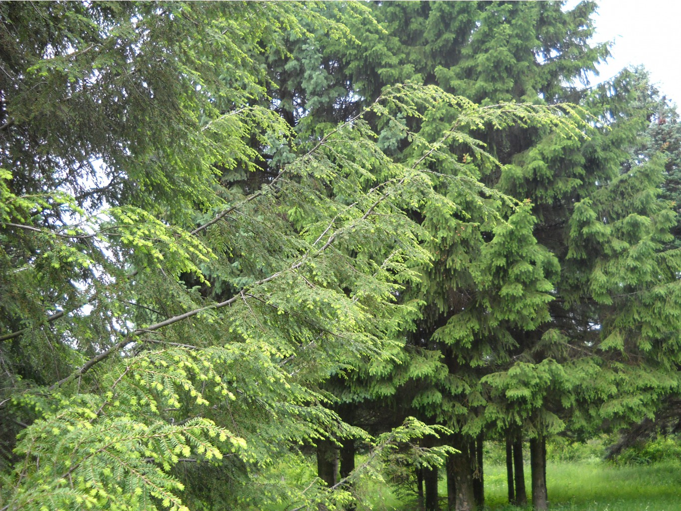 DSCN0137.JPG
