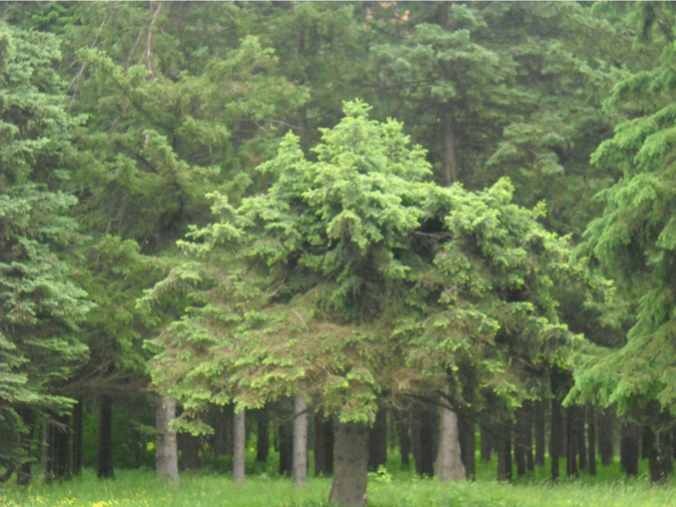 DSCN0138.JPG
