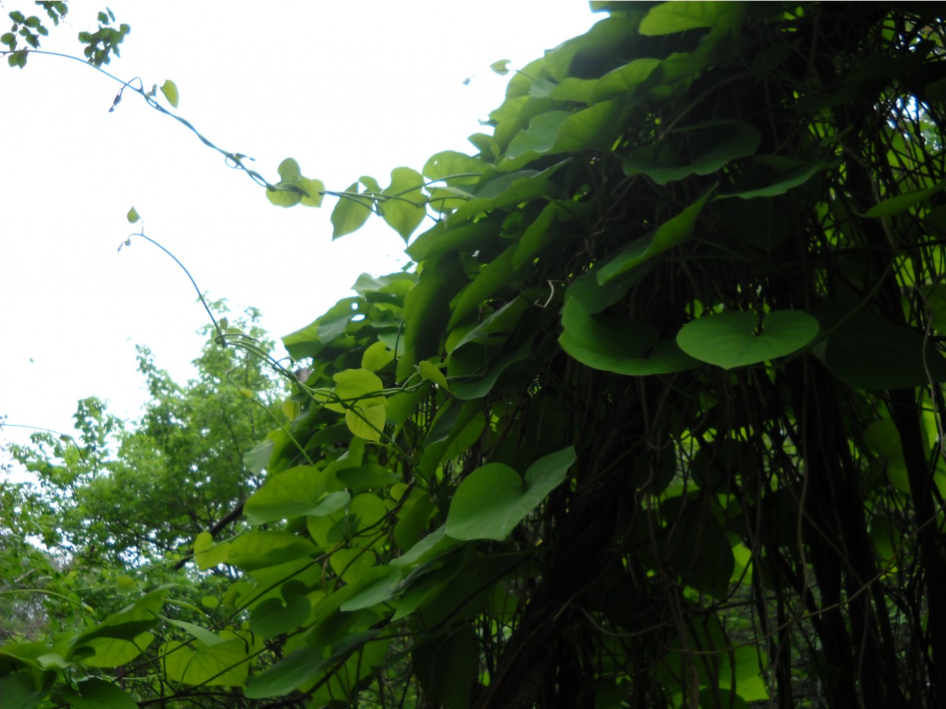 DSCN0145.JPG
