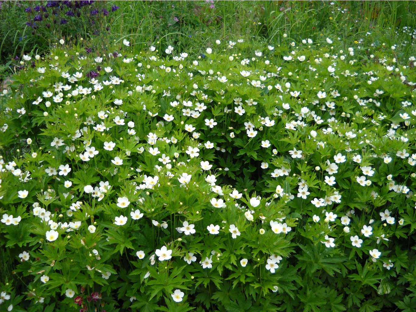DSCN0015.JPG