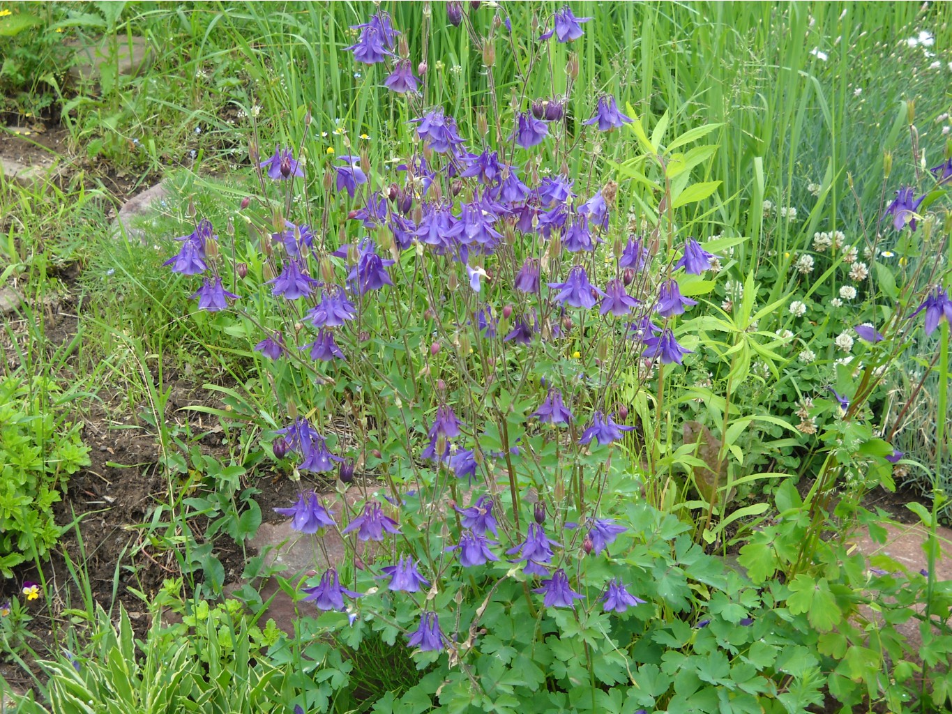 DSCN0019.JPG