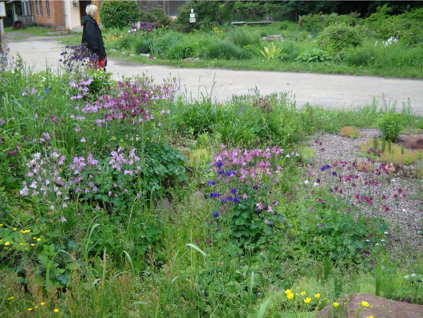 DSCN0021.JPG