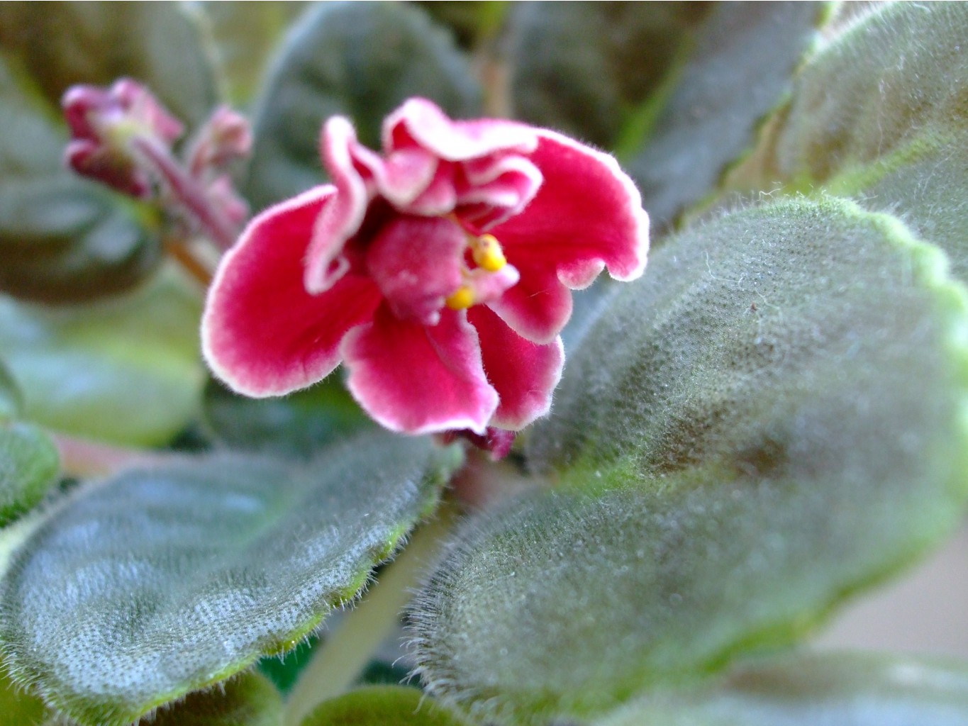 DSCF3233.JPG