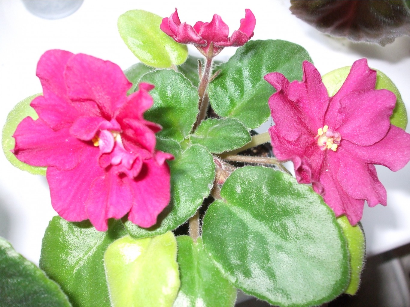 DSCF3265.JPG