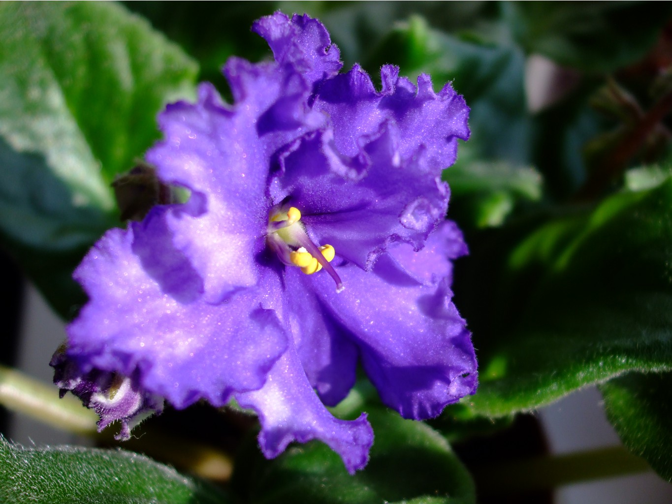 DSCF3171.JPG