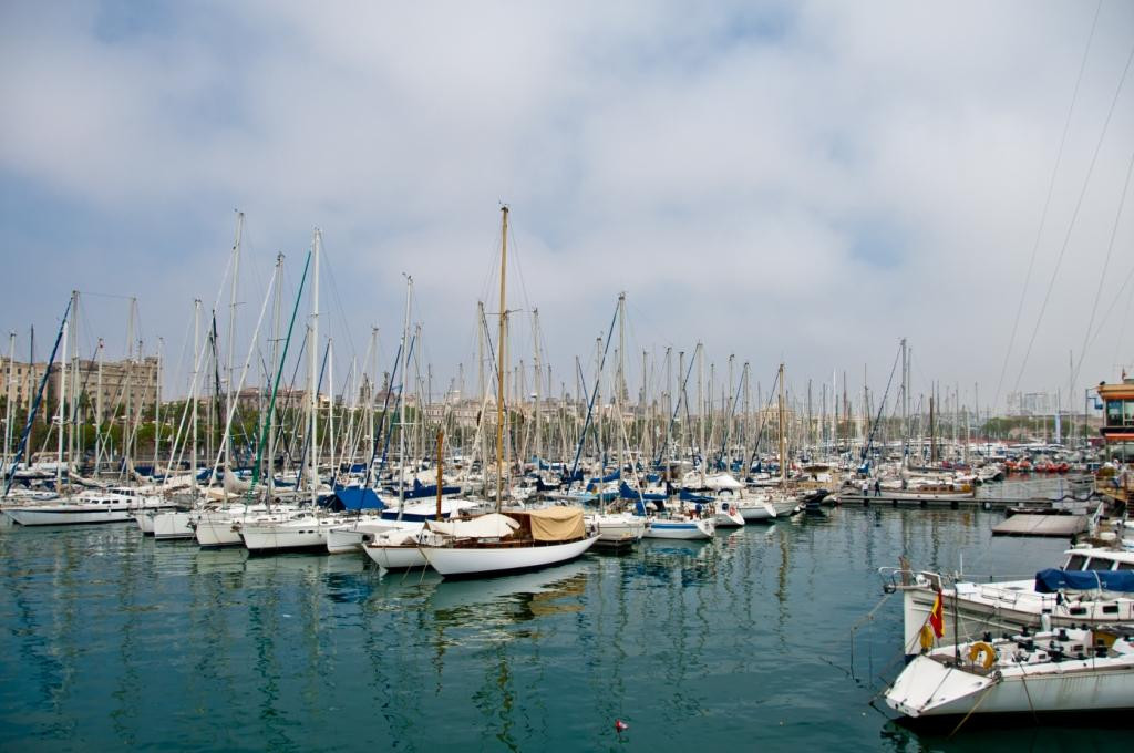 DSC_2138.jpg