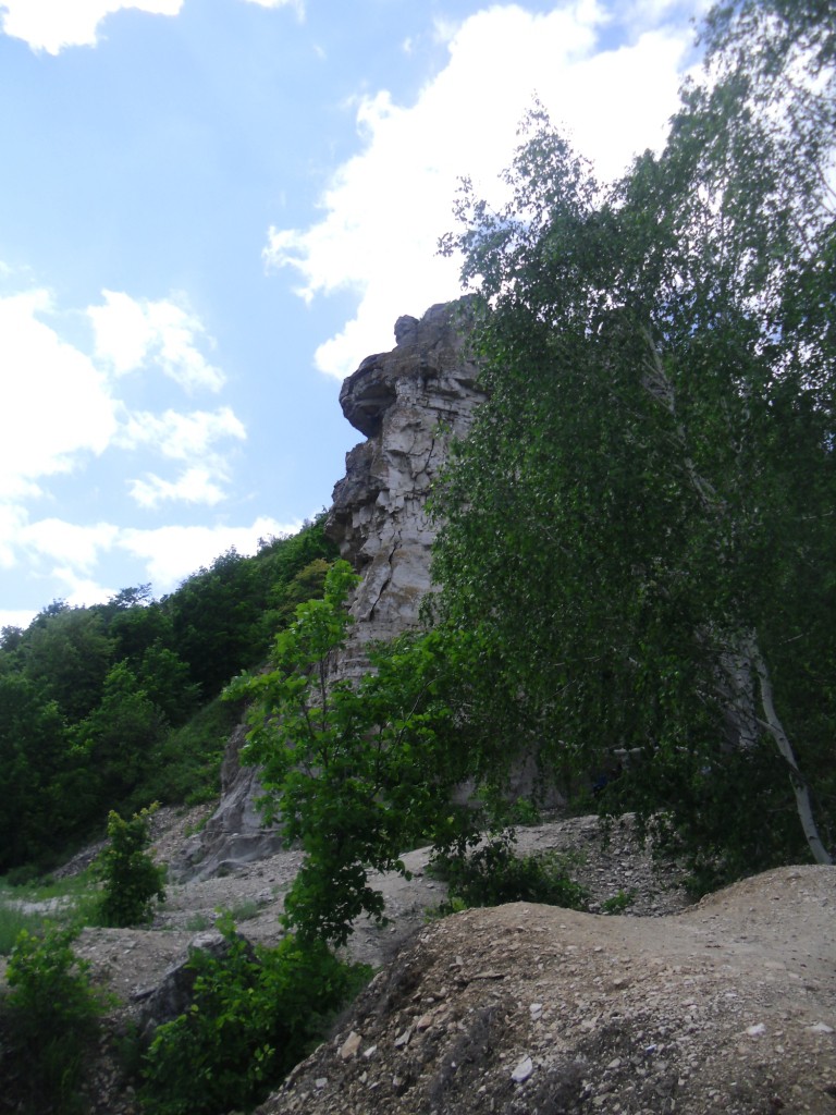 CIMG0877.JPG