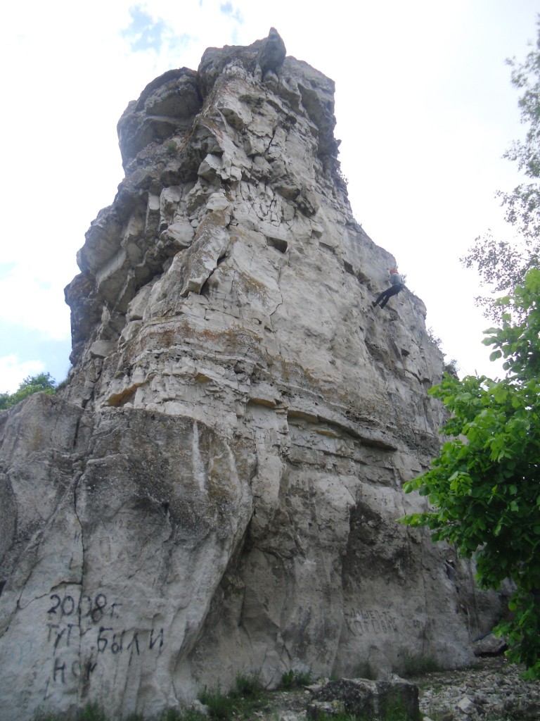 CIMG0881.JPG