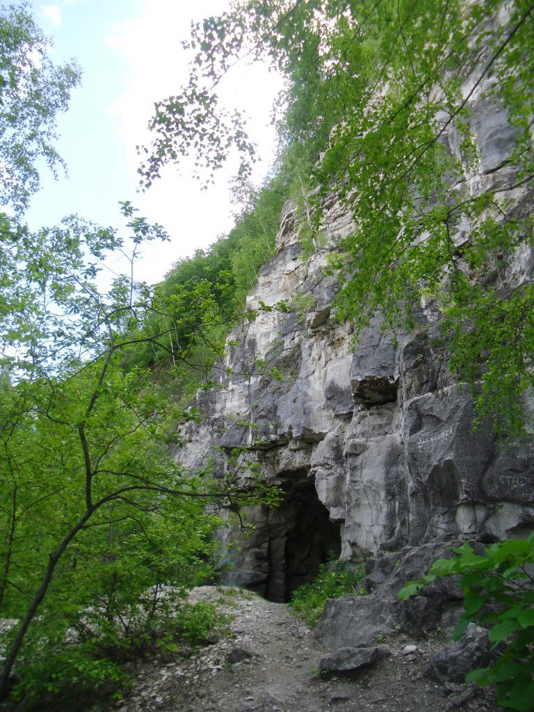 CIMG0951.JPG