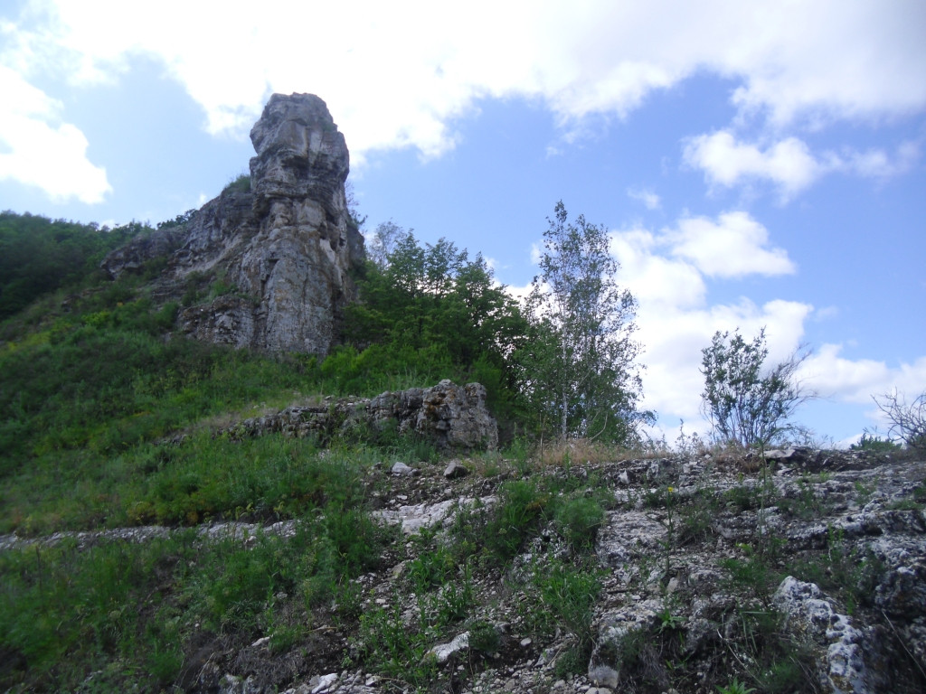 CIMG0909.JPG