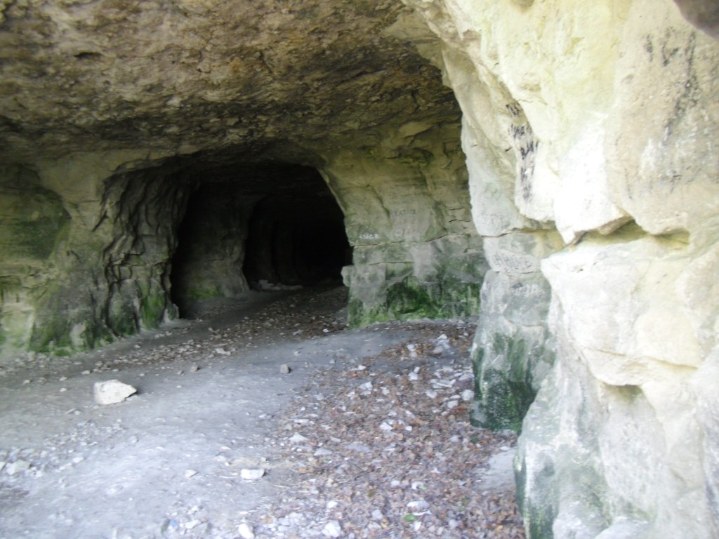CIMG0931.JPG