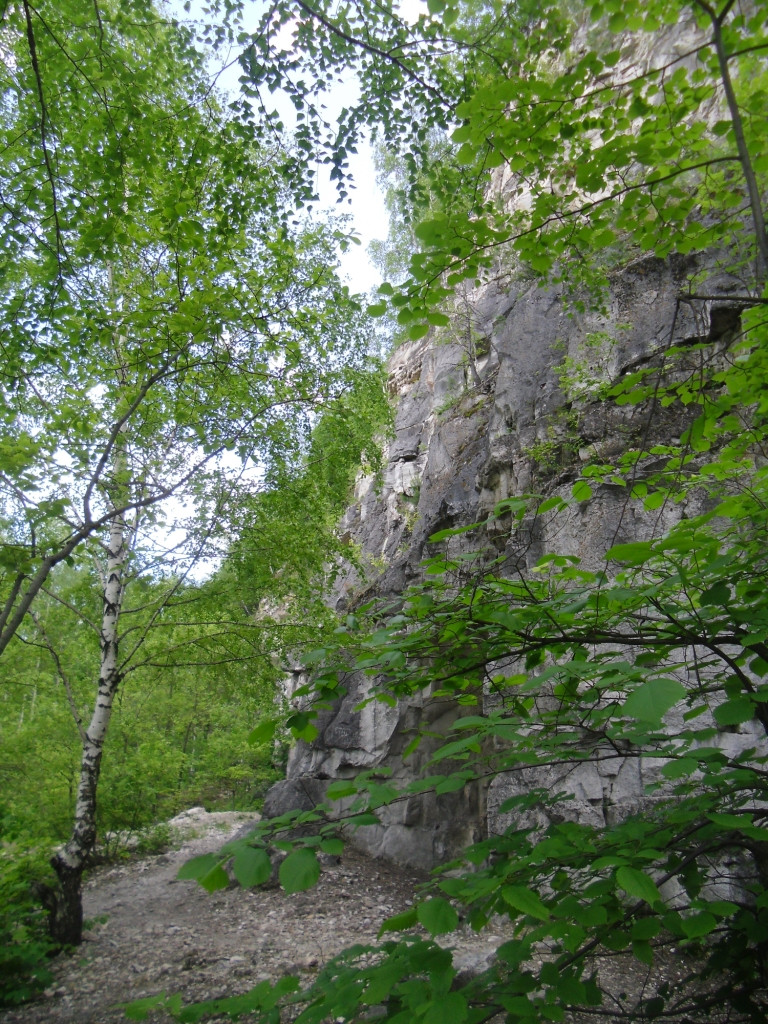 CIMG0946.JPG