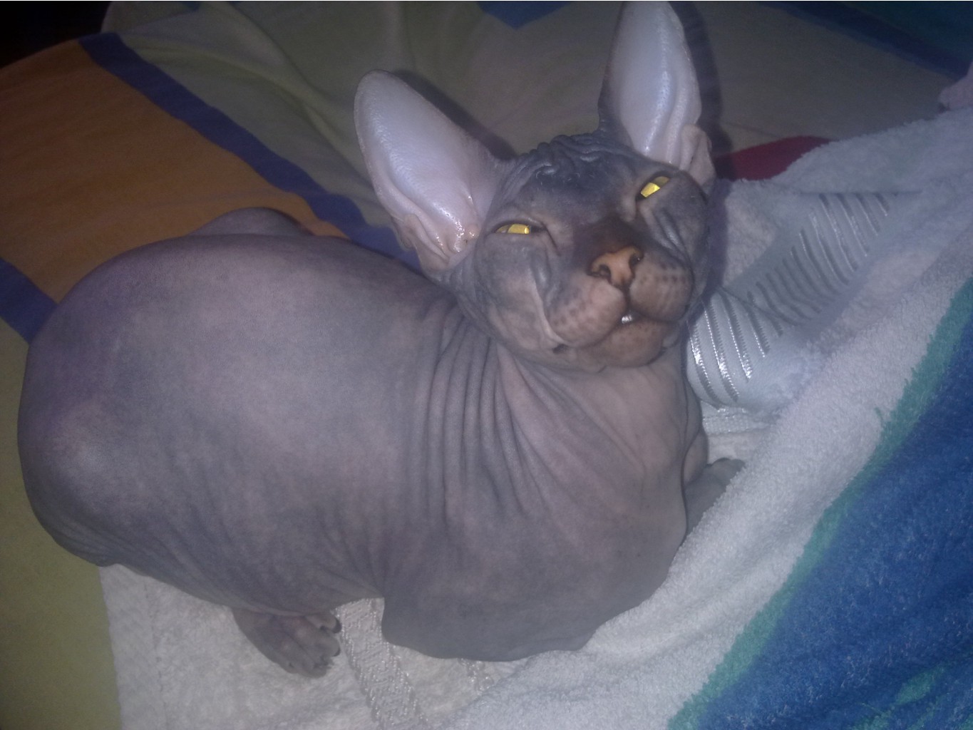 10042011150.jpg