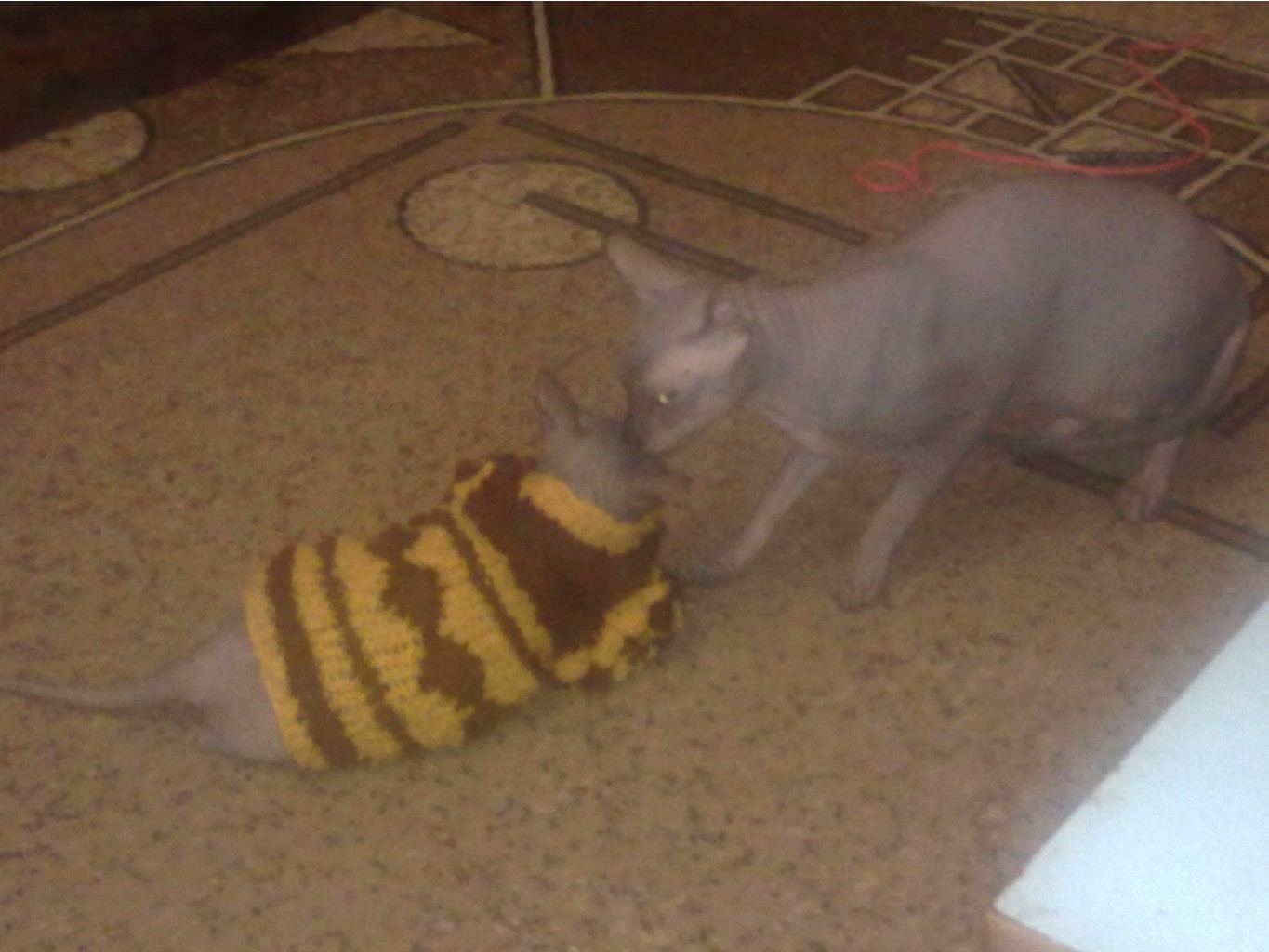 11042011152.jpg