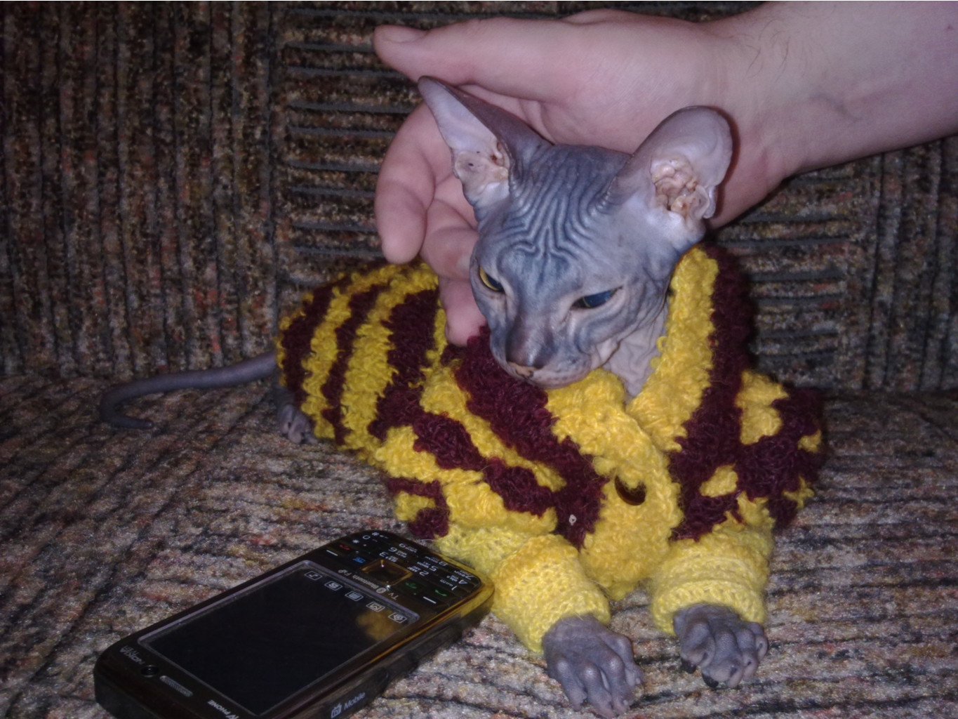 11042011156.jpg