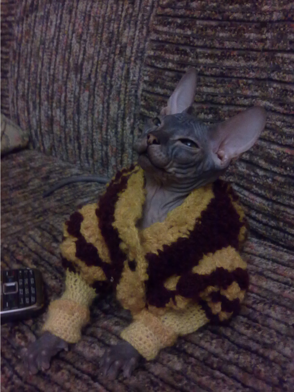 11042011161.jpg