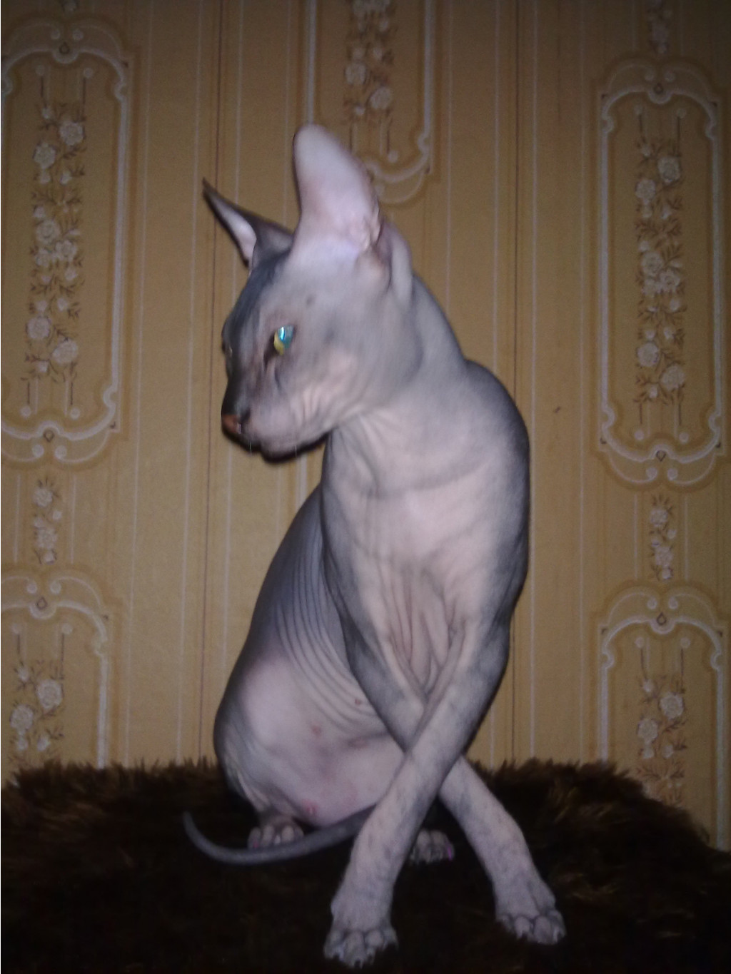23032011130.jpg
