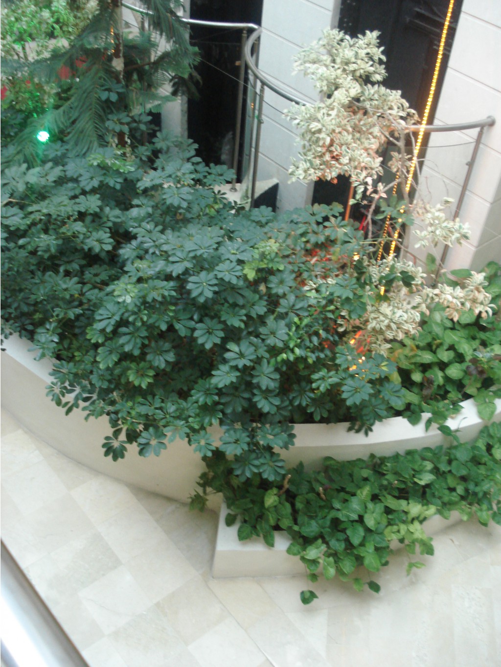 DSC02376.JPG