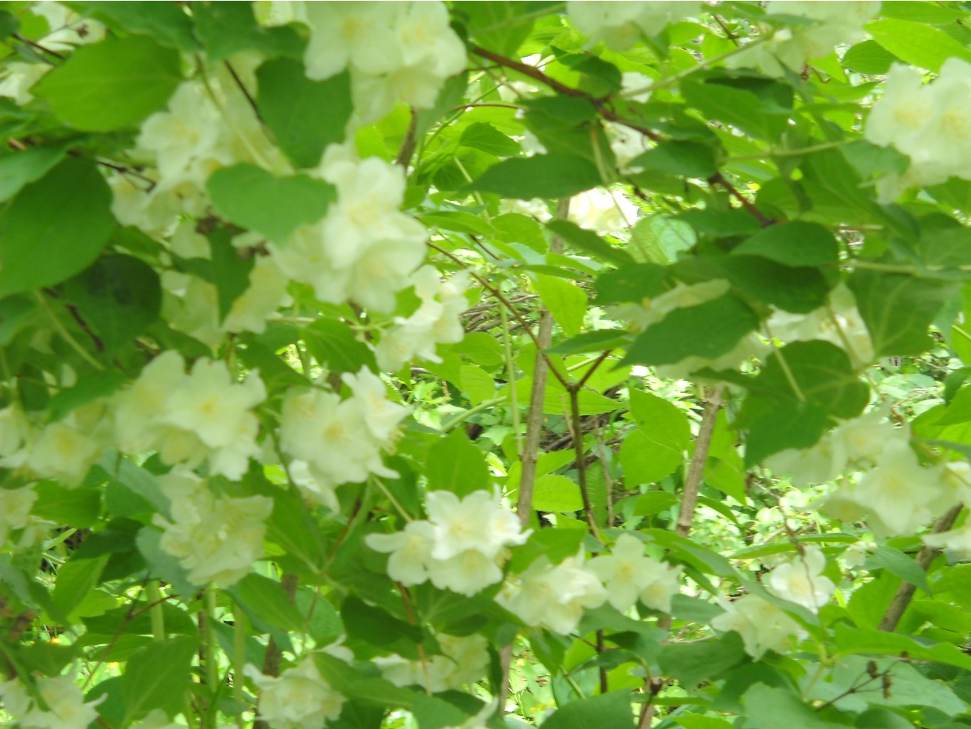 DSCN0212.JPG