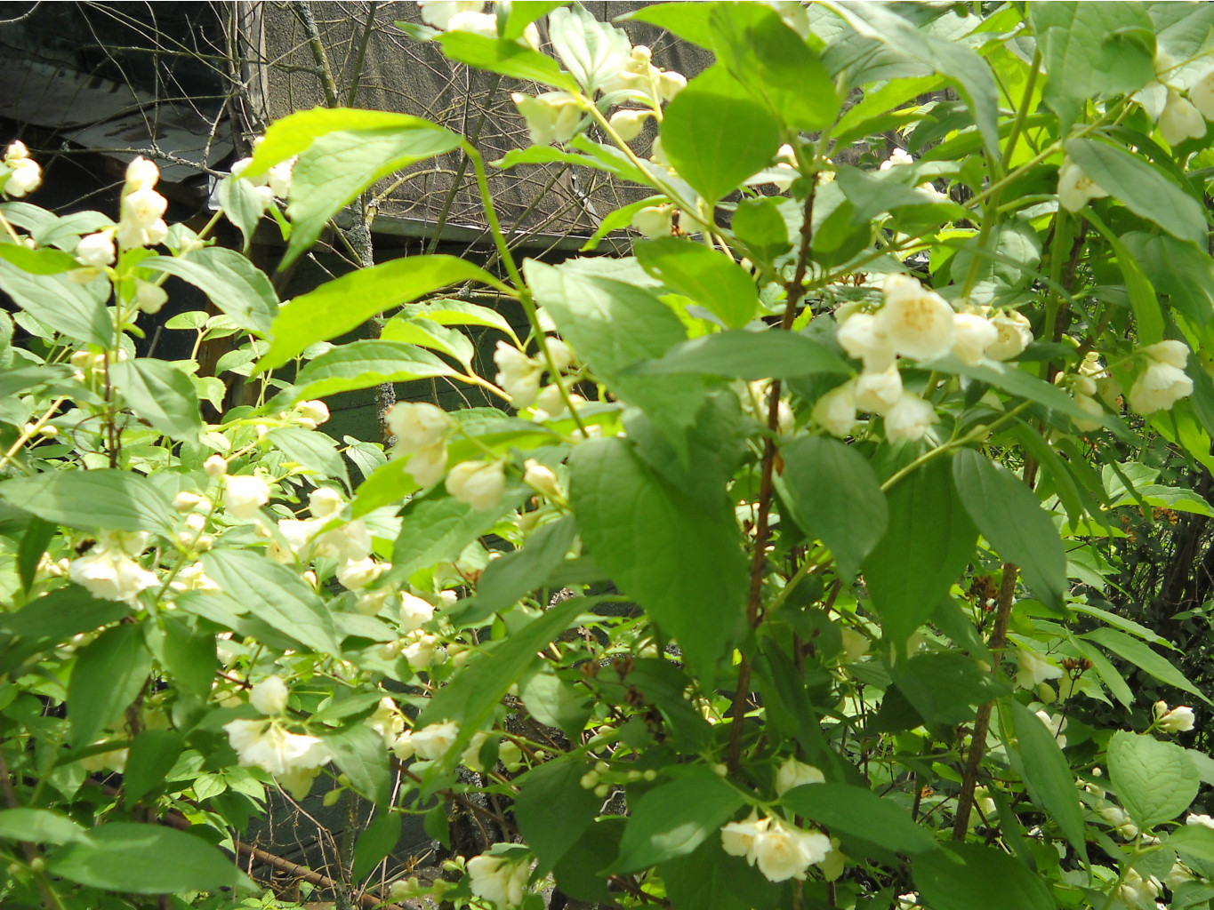DSCN0304.JPG