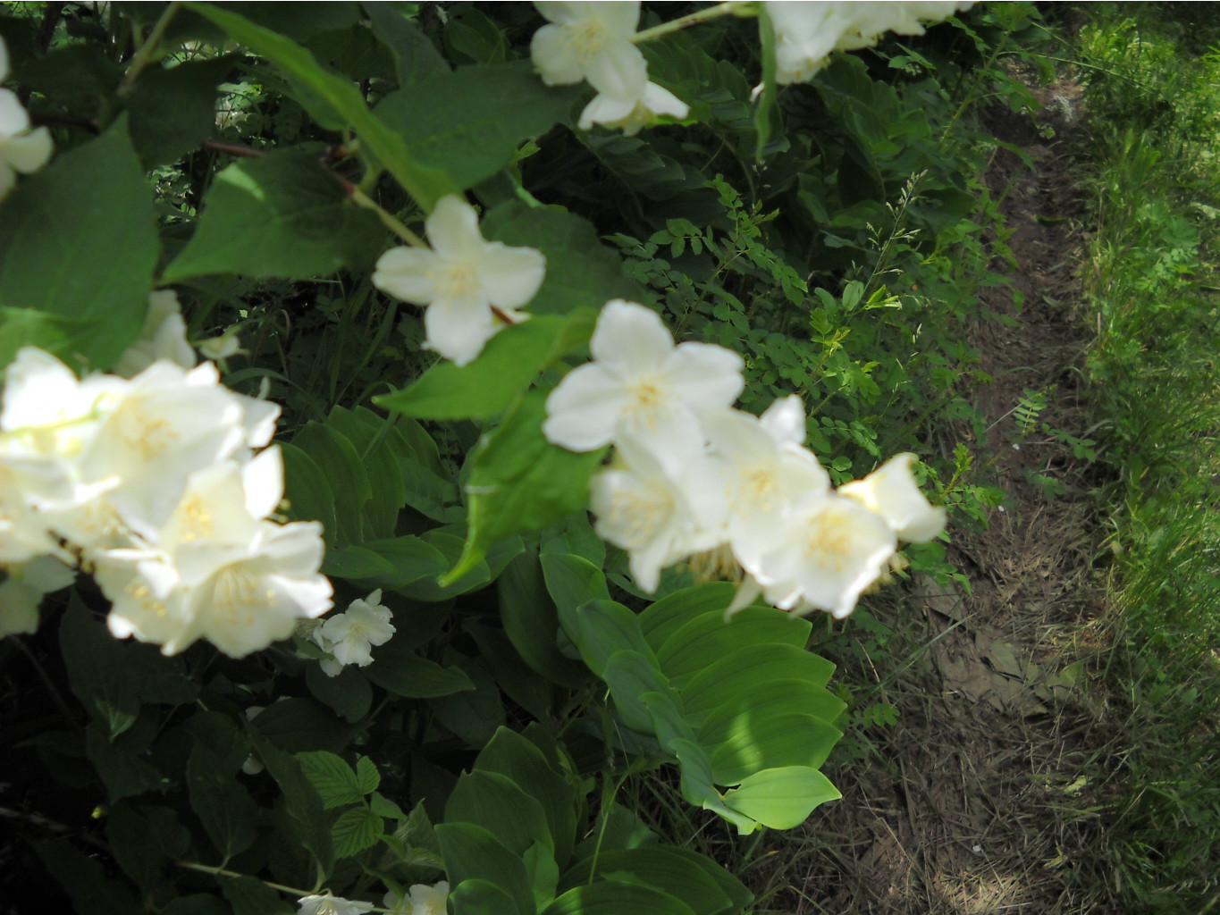 DSCN0306.JPG