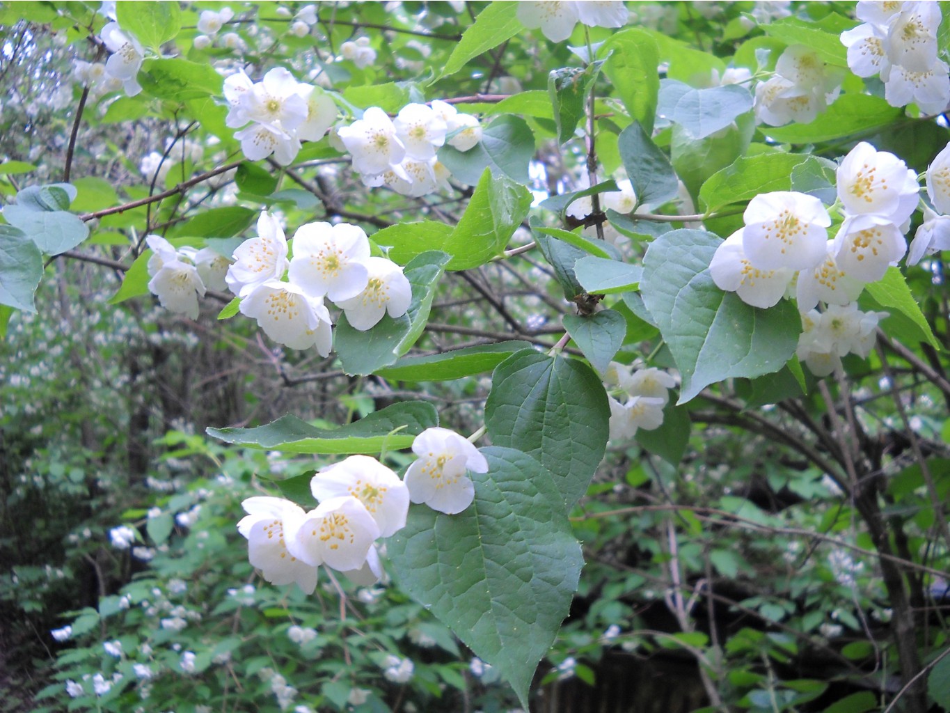 DSCN0330.JPG