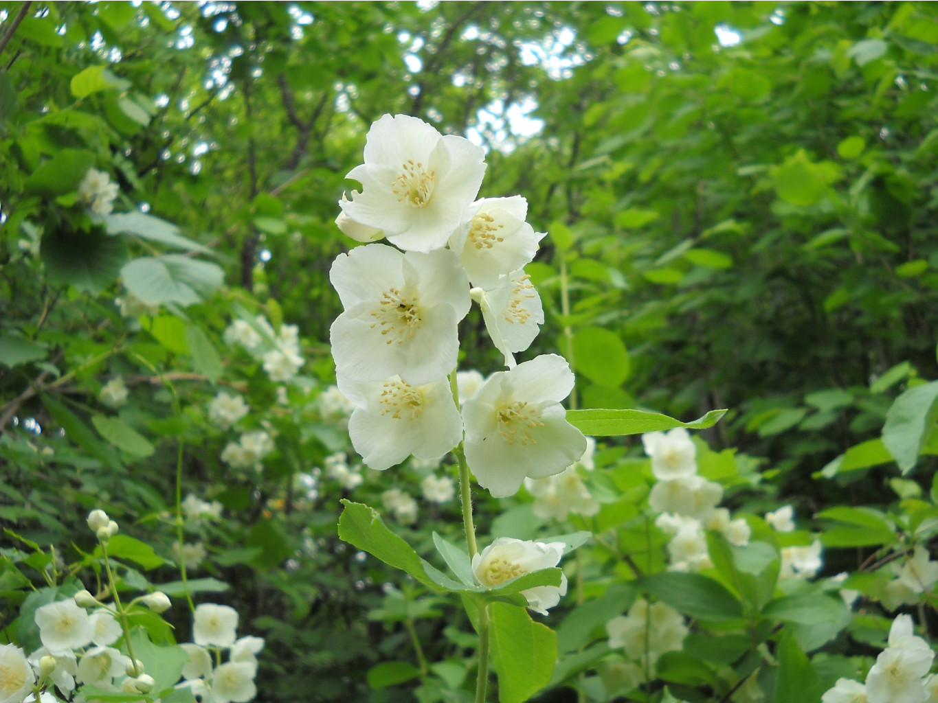 DSCN0332.JPG