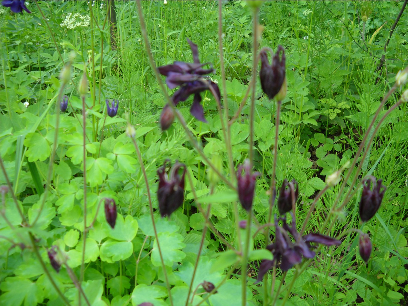 DSCN0170.JPG