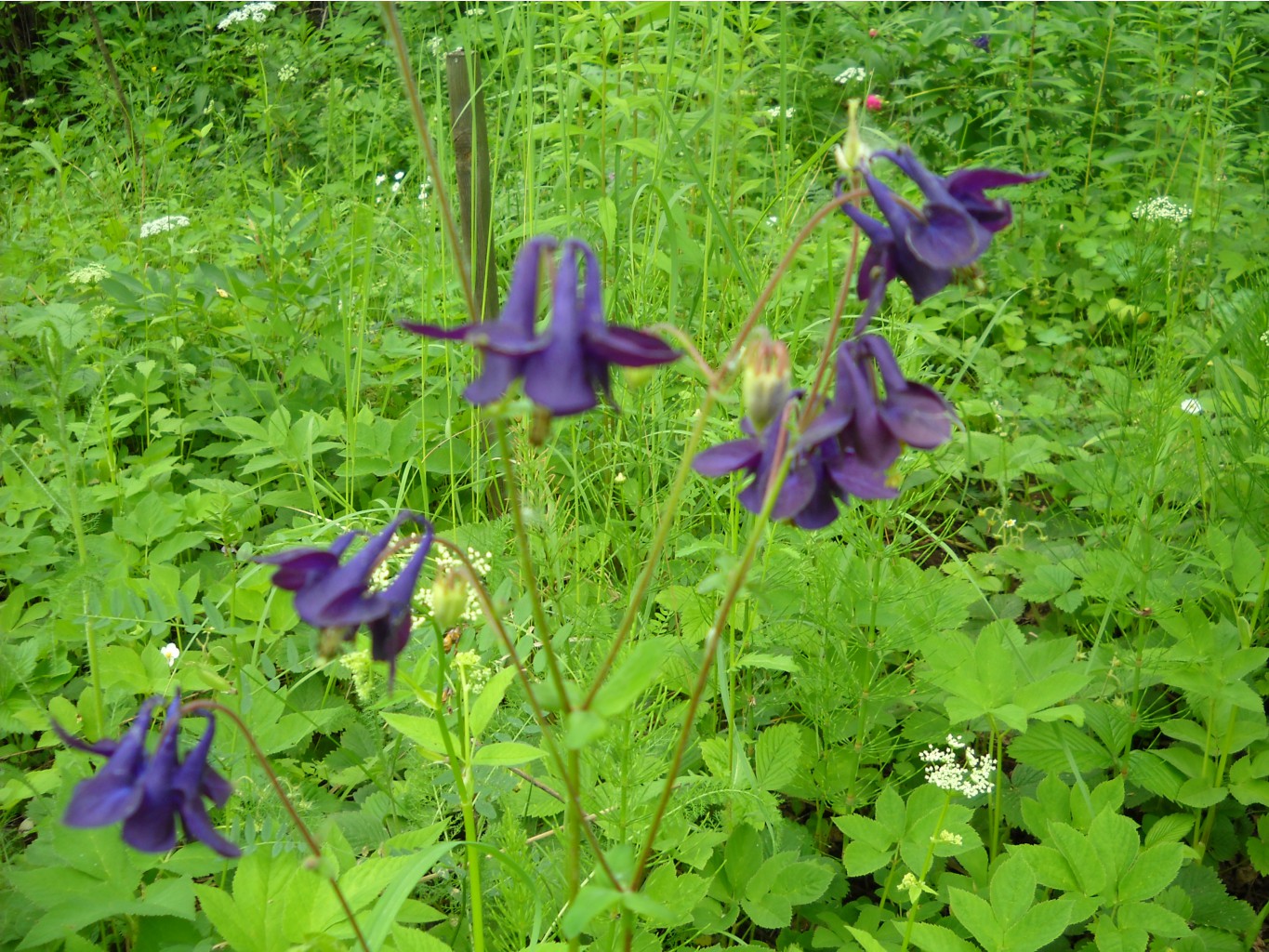 DSCN0171.JPG