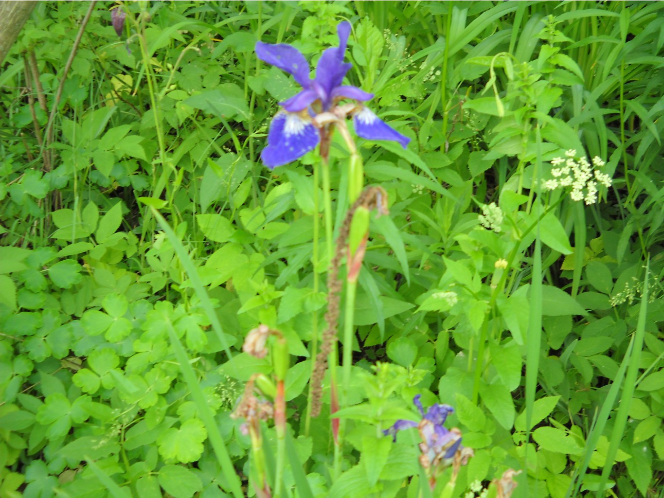 DSCN0206.JPG