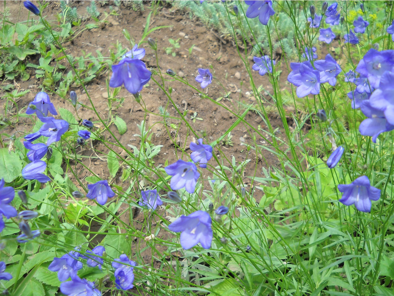 DSCN0223.JPG
