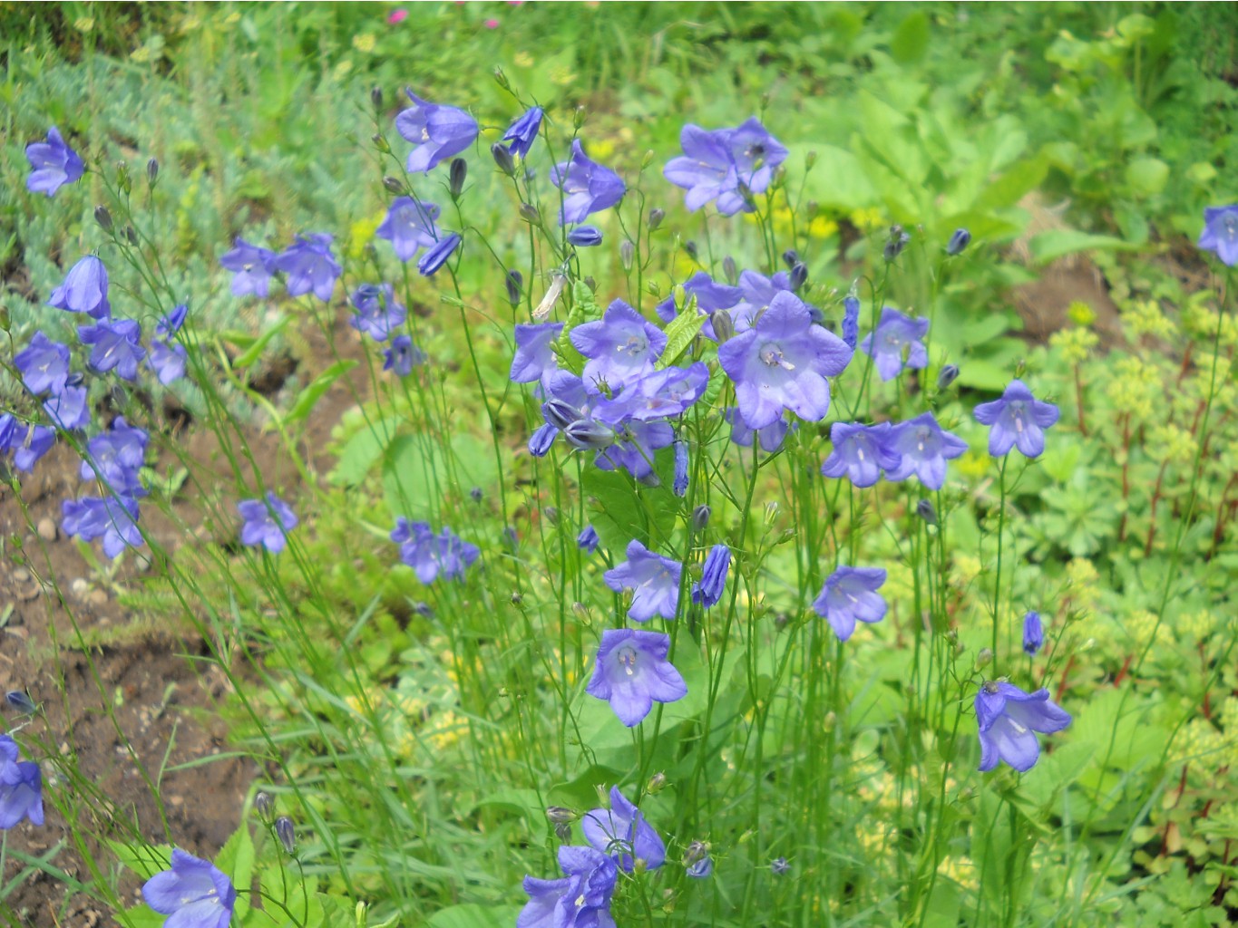 DSCN0224.JPG
