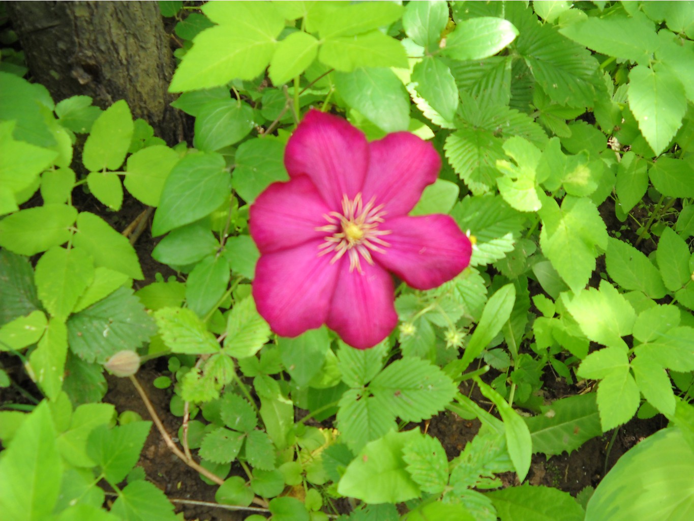 DSCN0262.JPG