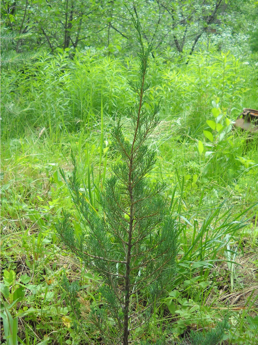 DSCN0270.JPG