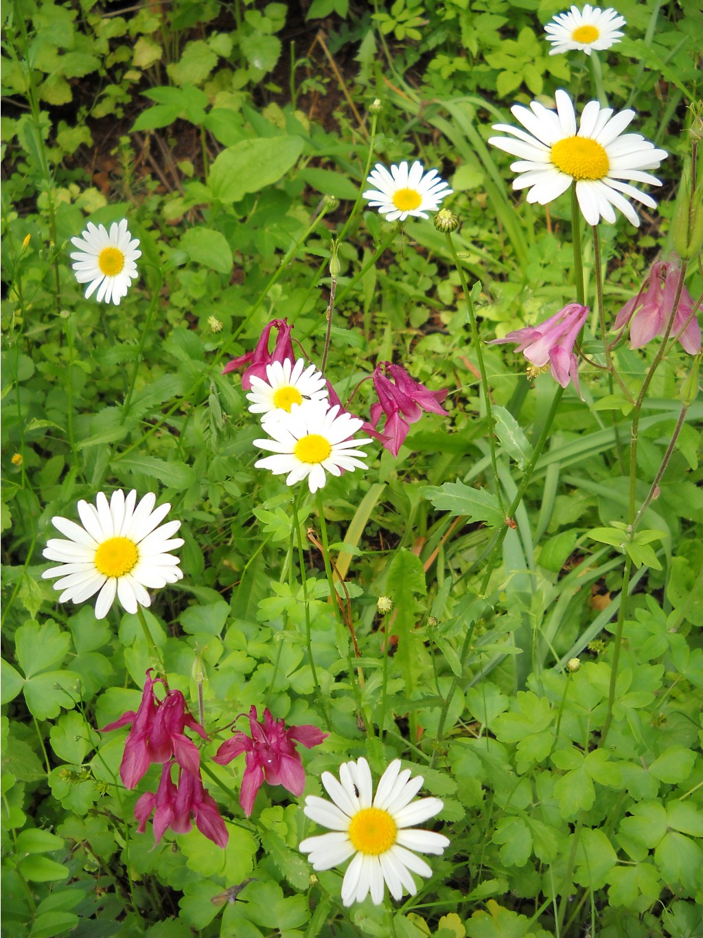DSCN0272.JPG