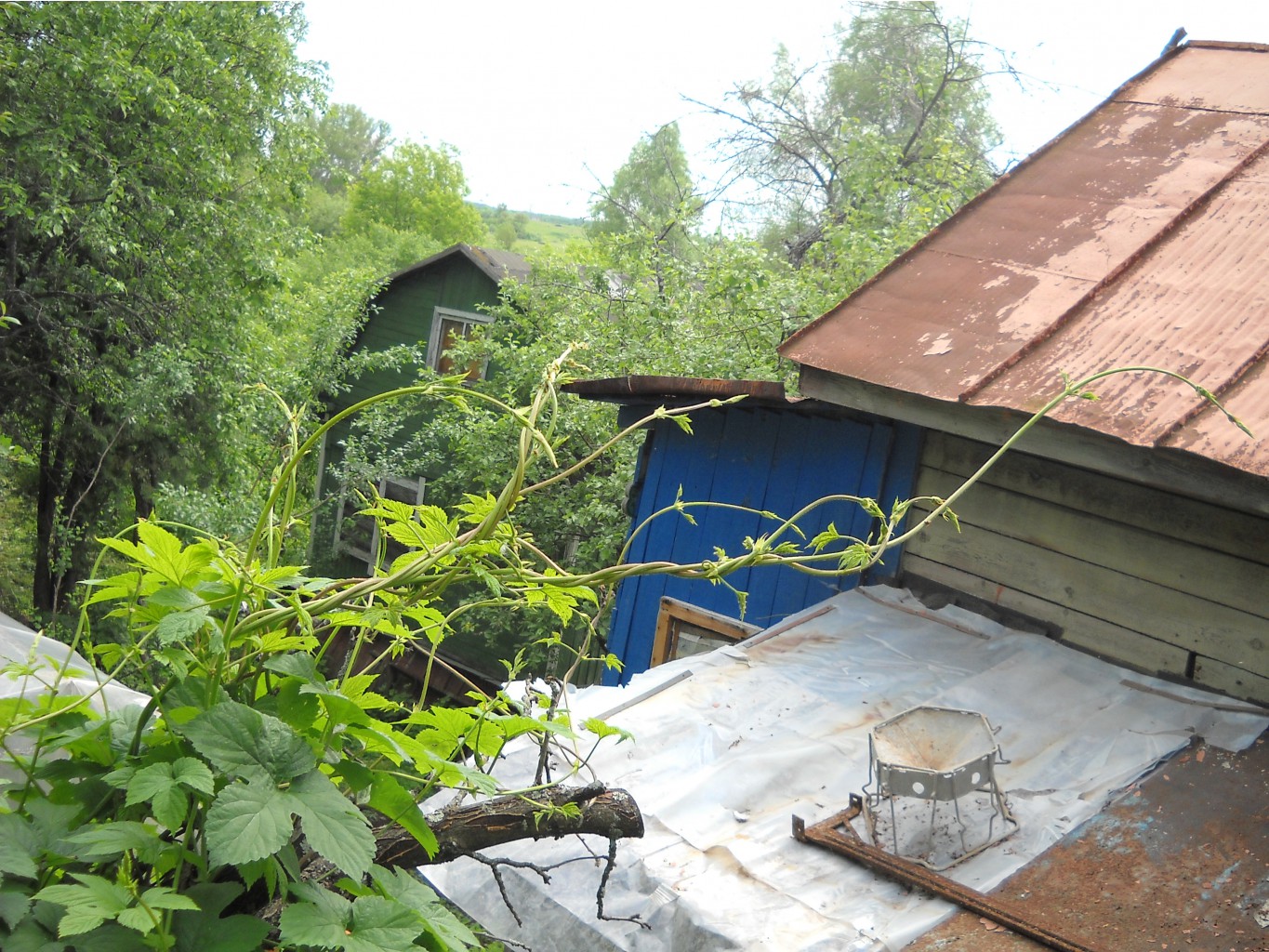 DSCN0274.JPG