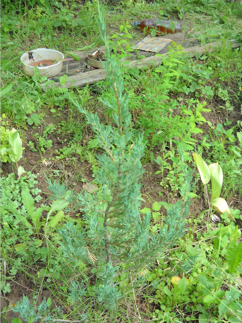 DSCN0276.JPG
