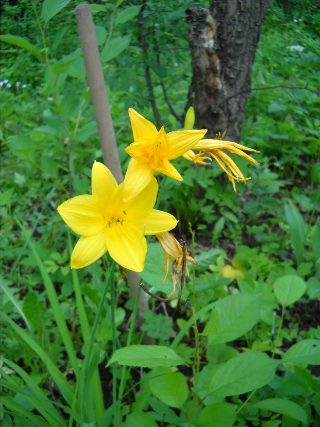 DSCN0311.JPG