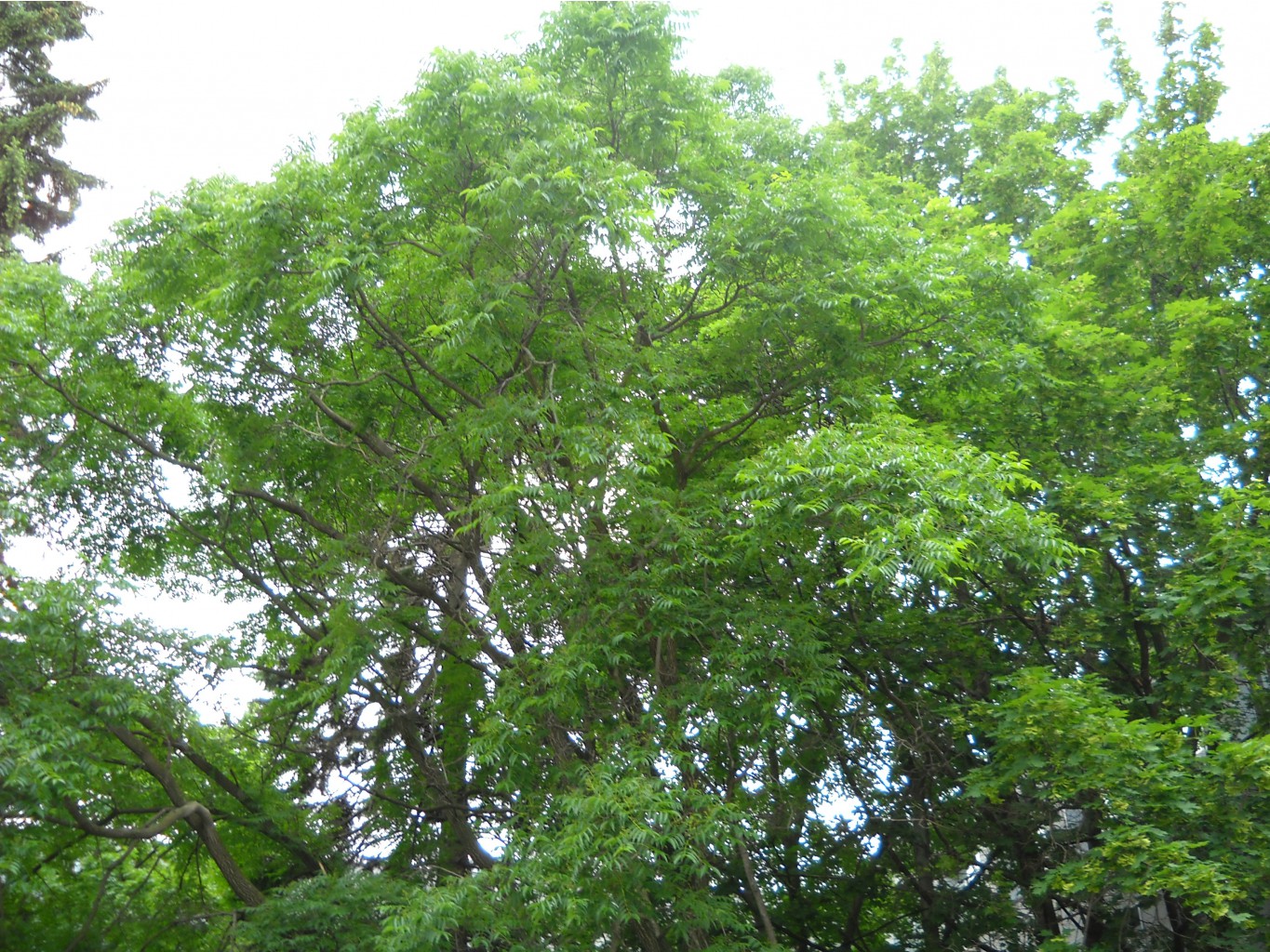 DSCN0384.JPG